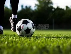 浙江,球队领袖王,钰栋伤退,球友会,球友会入口,球友会官网,球友会官方入口,球友会官方网址