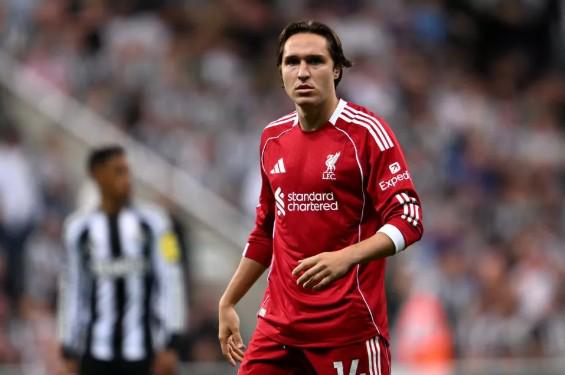 张琳芃合同,谜底揭晓,申花错失良,球友会,球友会入口,球友会官网,球友会官方入口,球友会官方网址